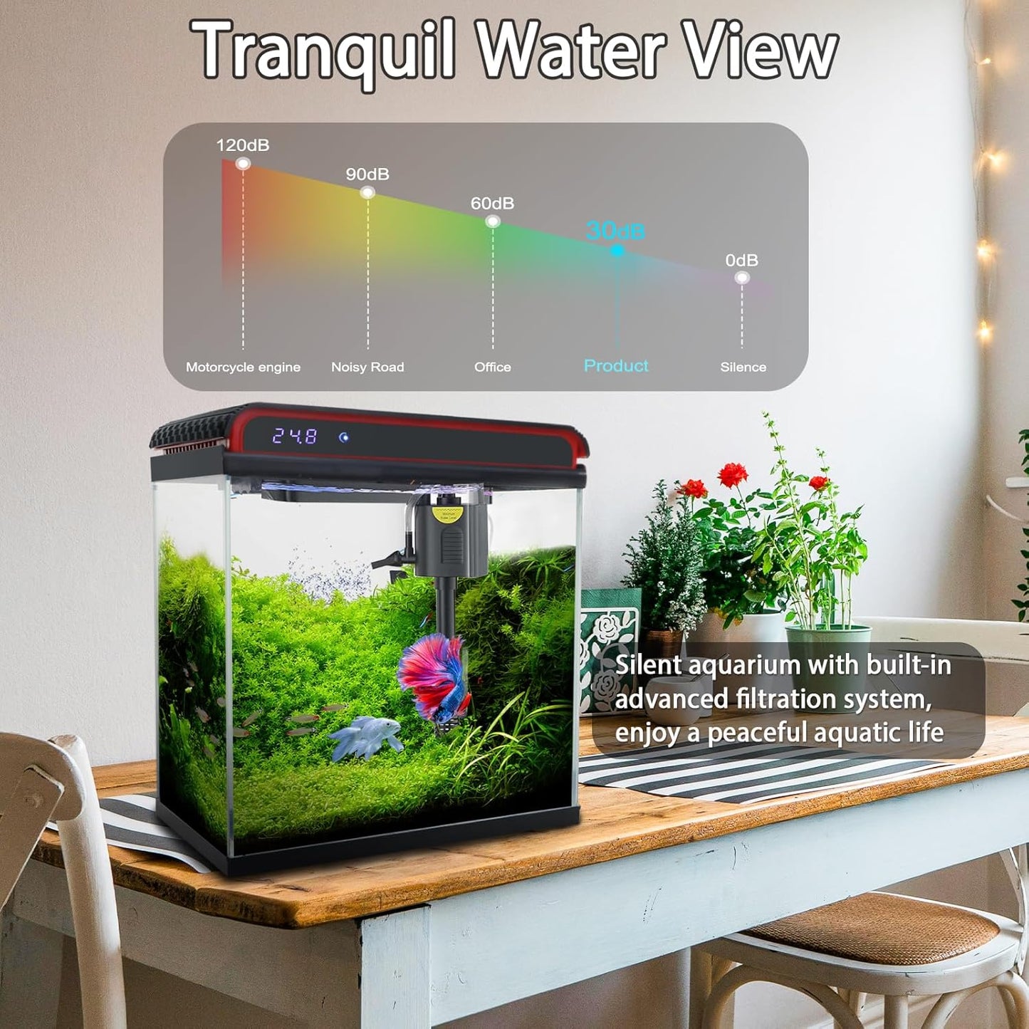 Small Fish Tank