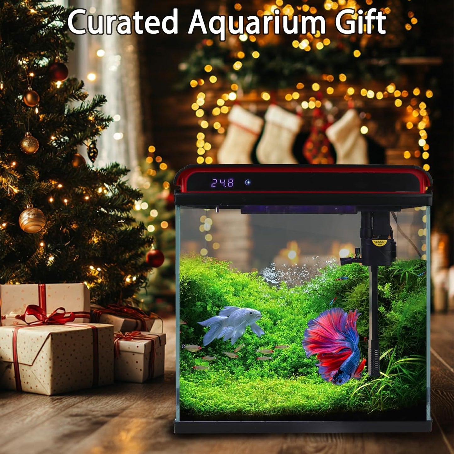Small Fish Tank
