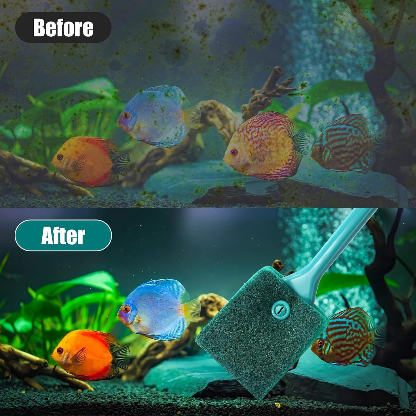 Fish Tank Cleaning Tools