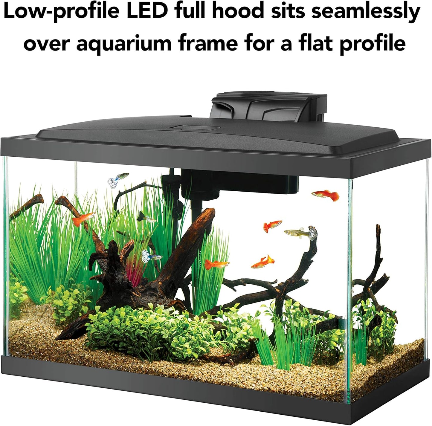 Aquarium Fish Tank Starter Kit