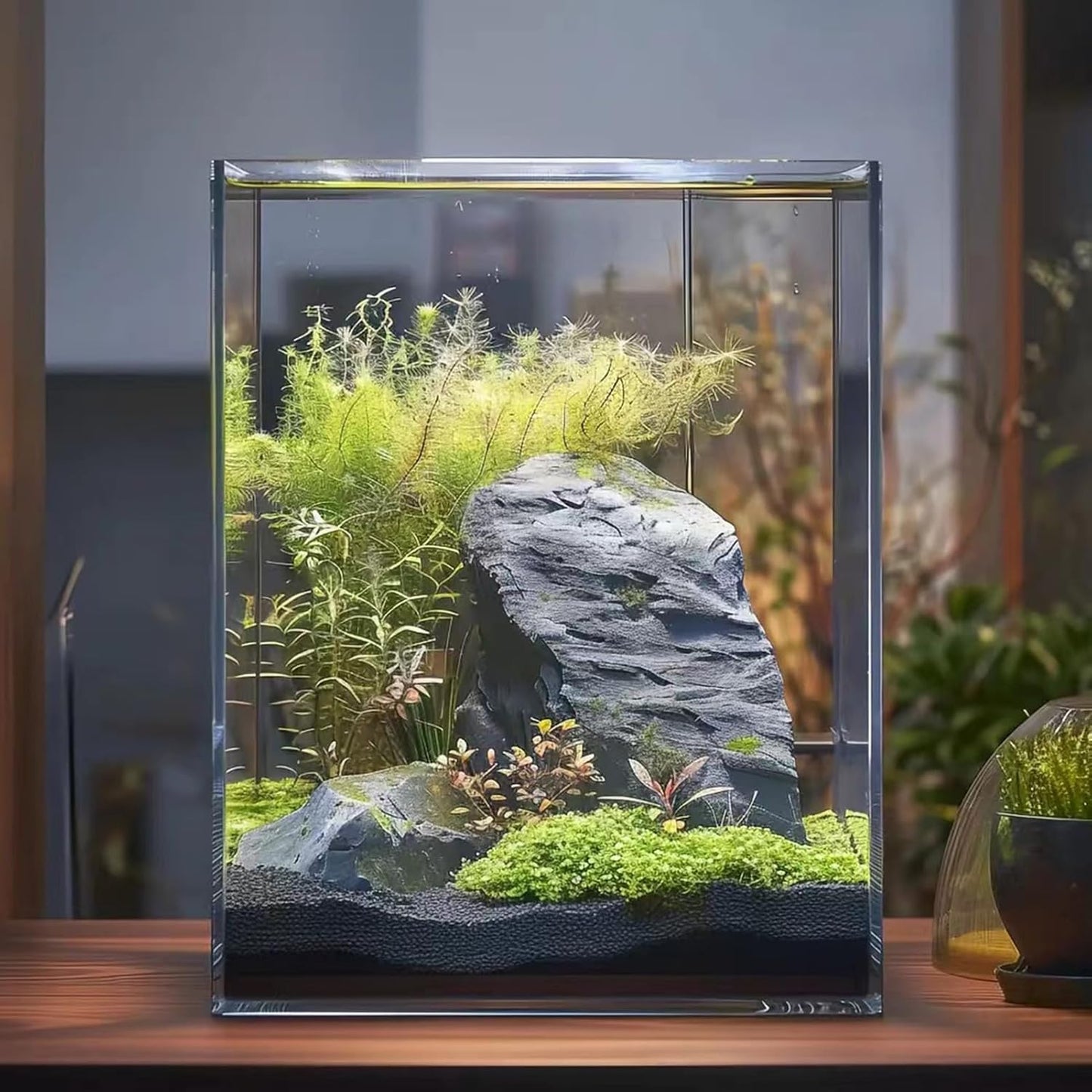 Glass Fish Tank