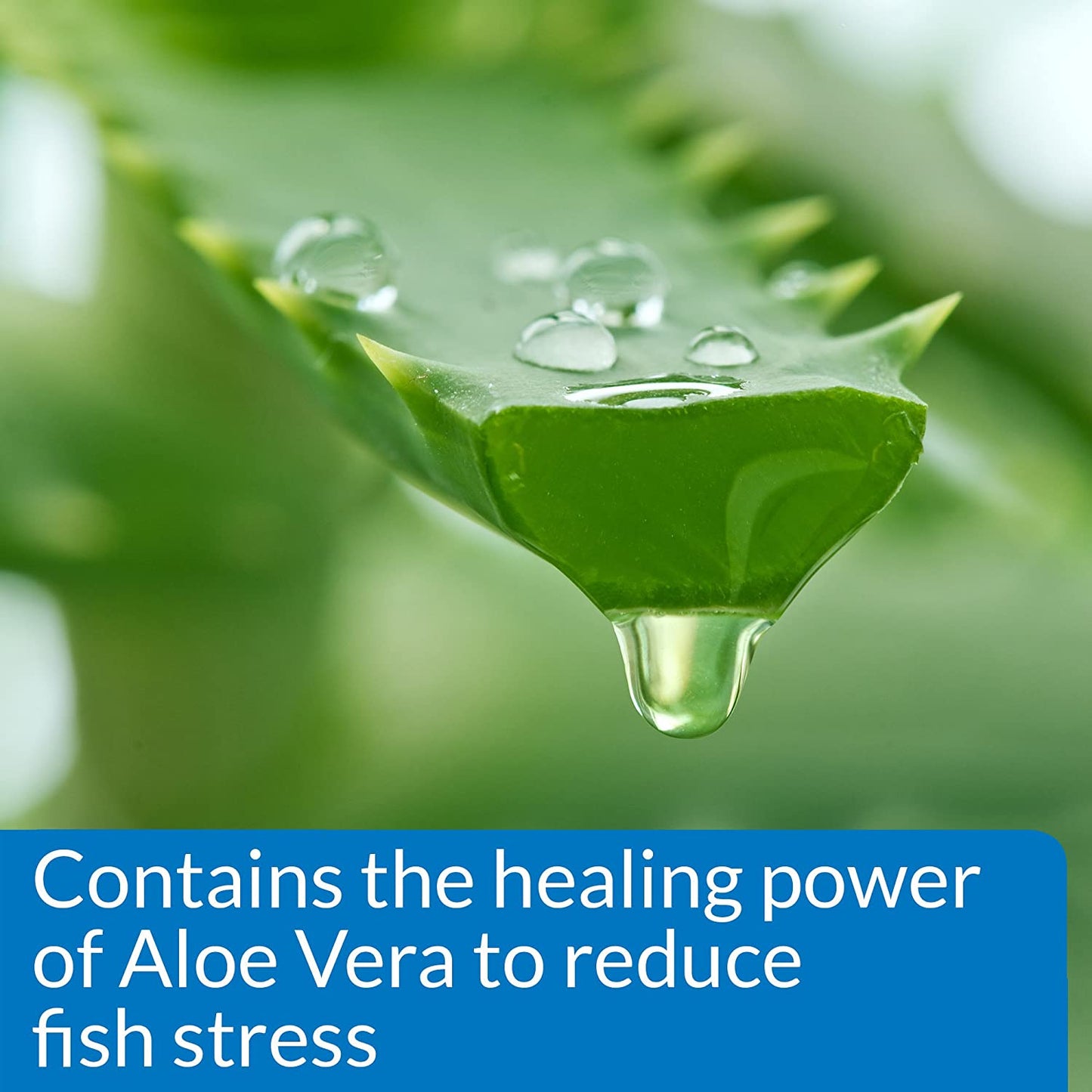 Aquarium Water Conditioner