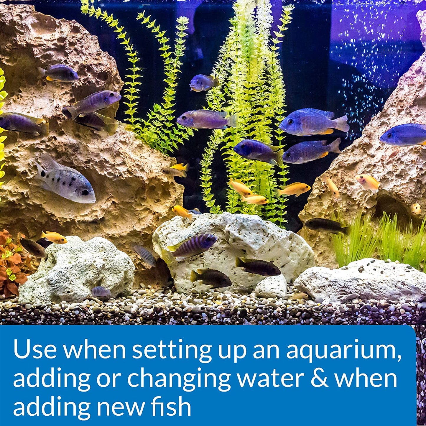 Aquarium Water Conditioner