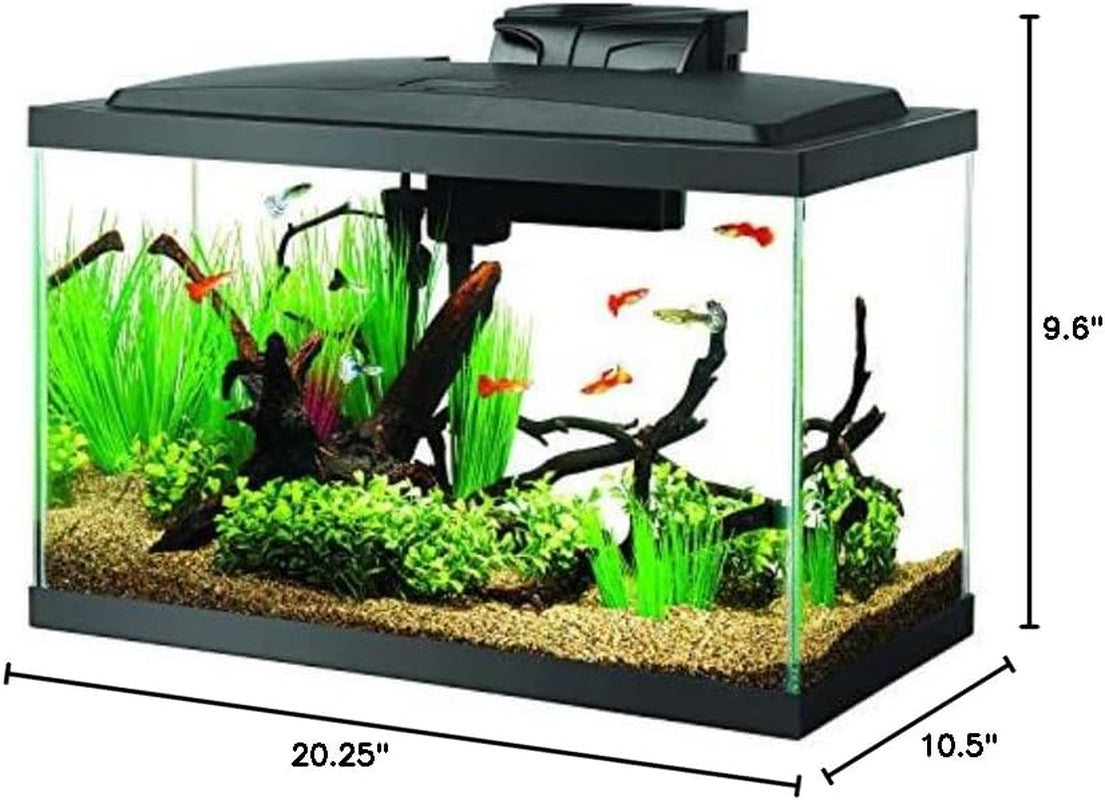 Aquarium Fish Tank Starter Kit