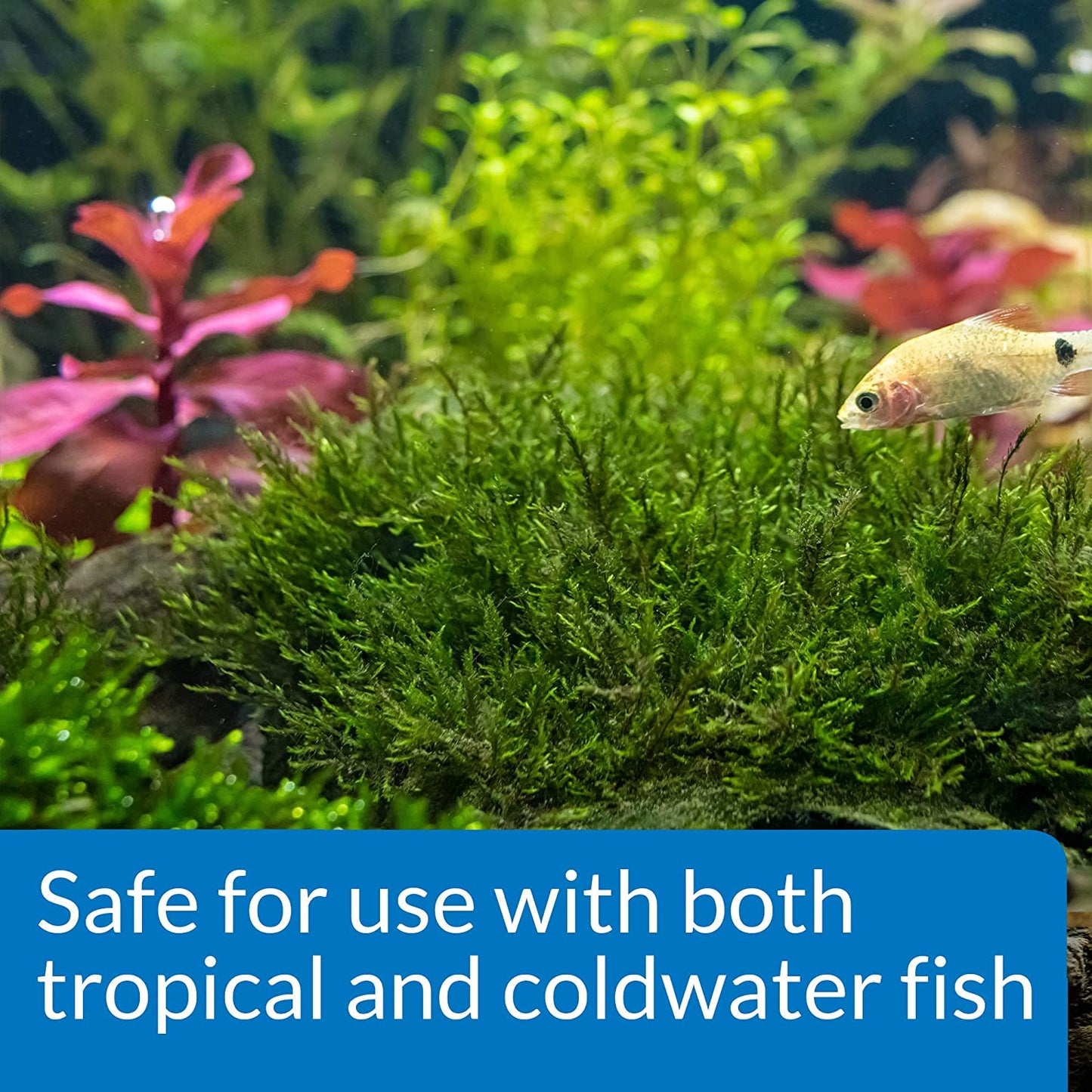 Freshwater Aquarium Plant Fertilizer