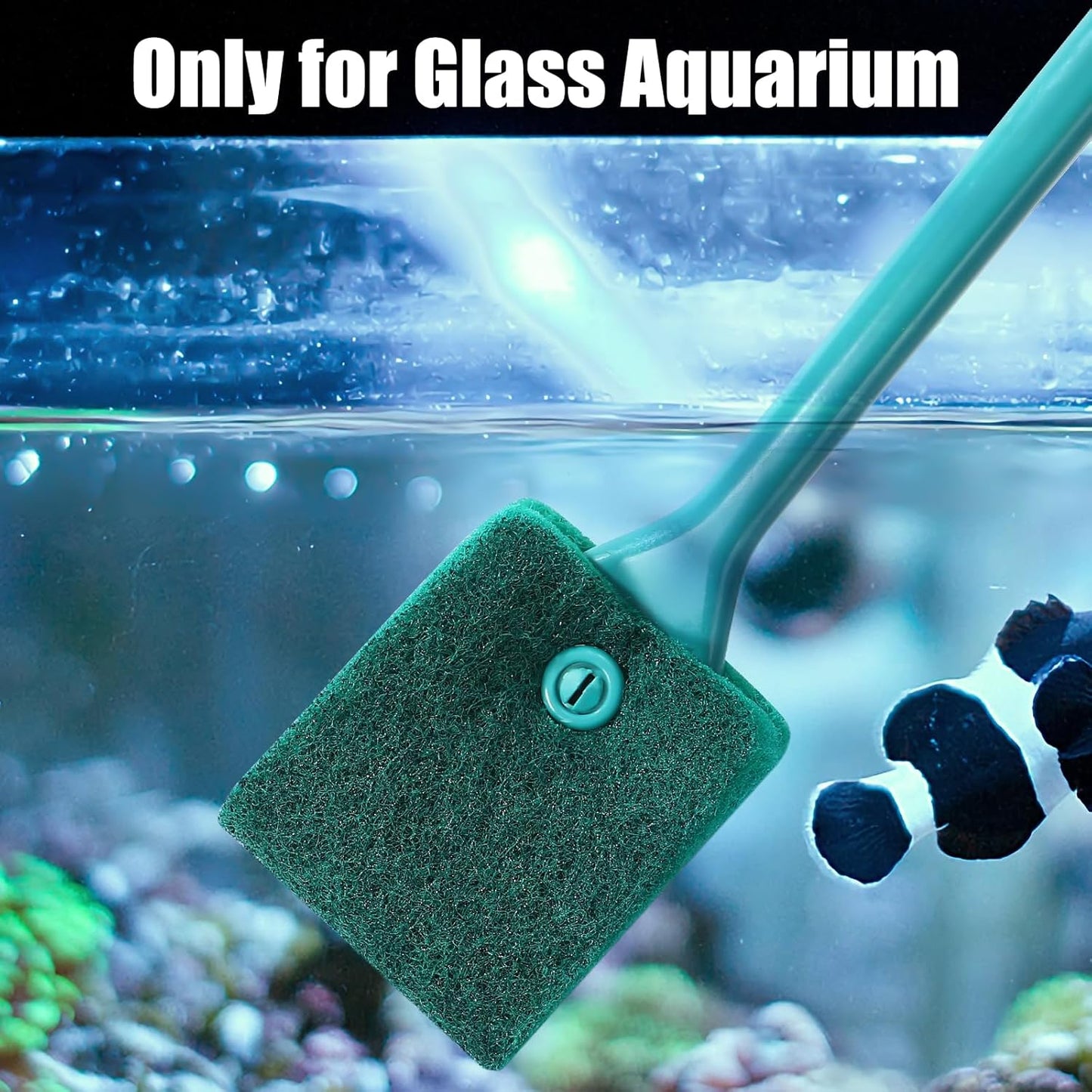 Fish Tank Cleaning Tools