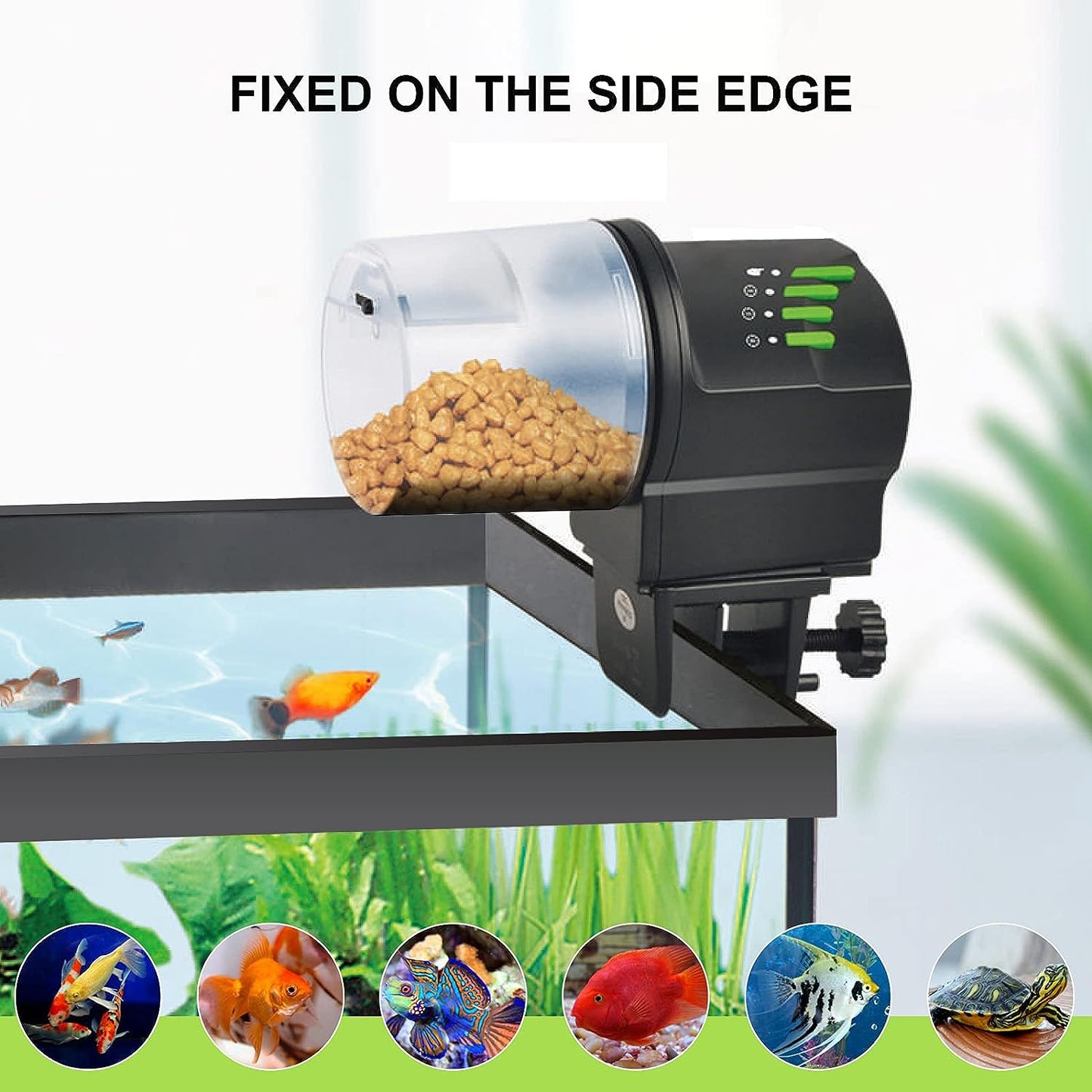 Automatic Fish Feeder