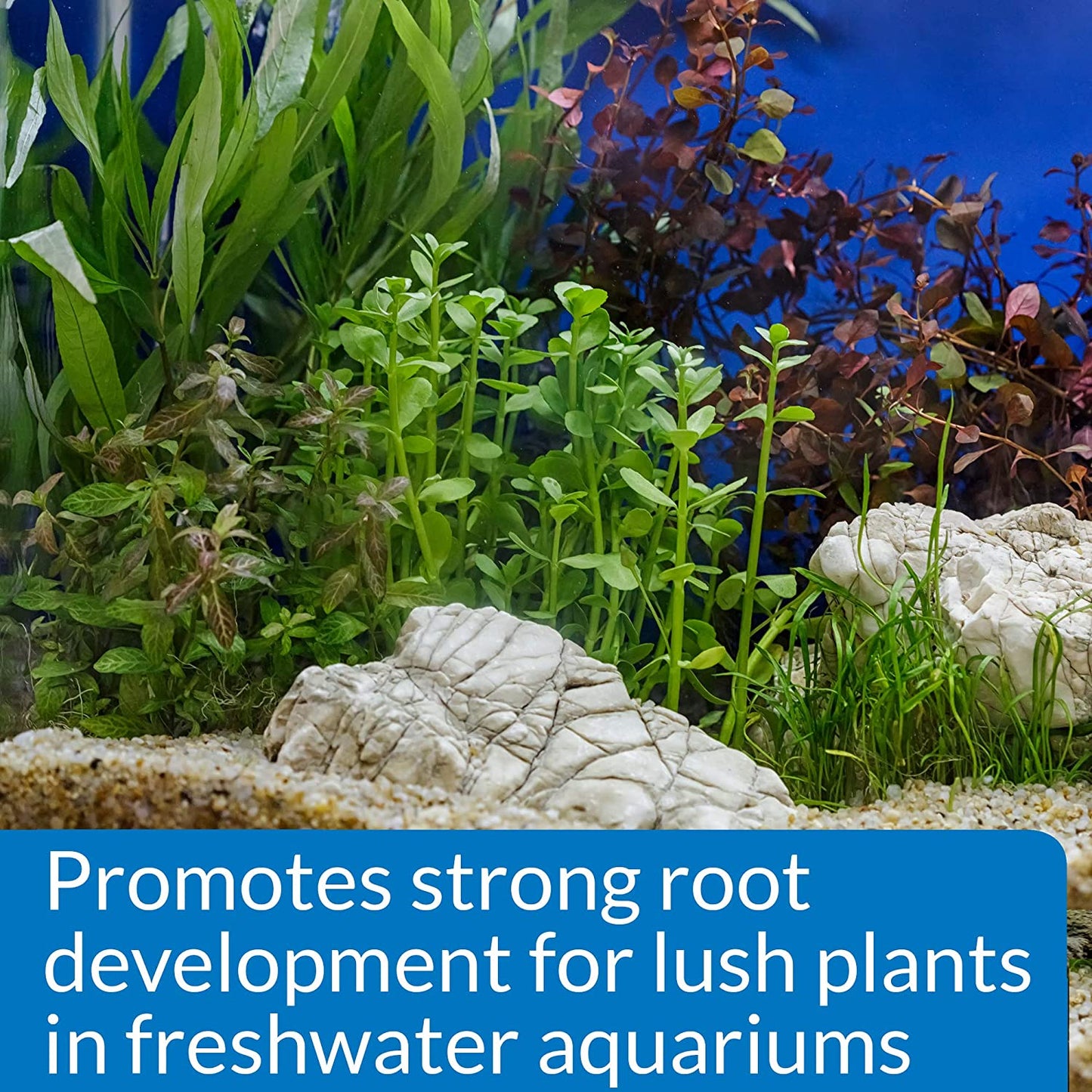 Freshwater Aquarium Plant Fertilizer