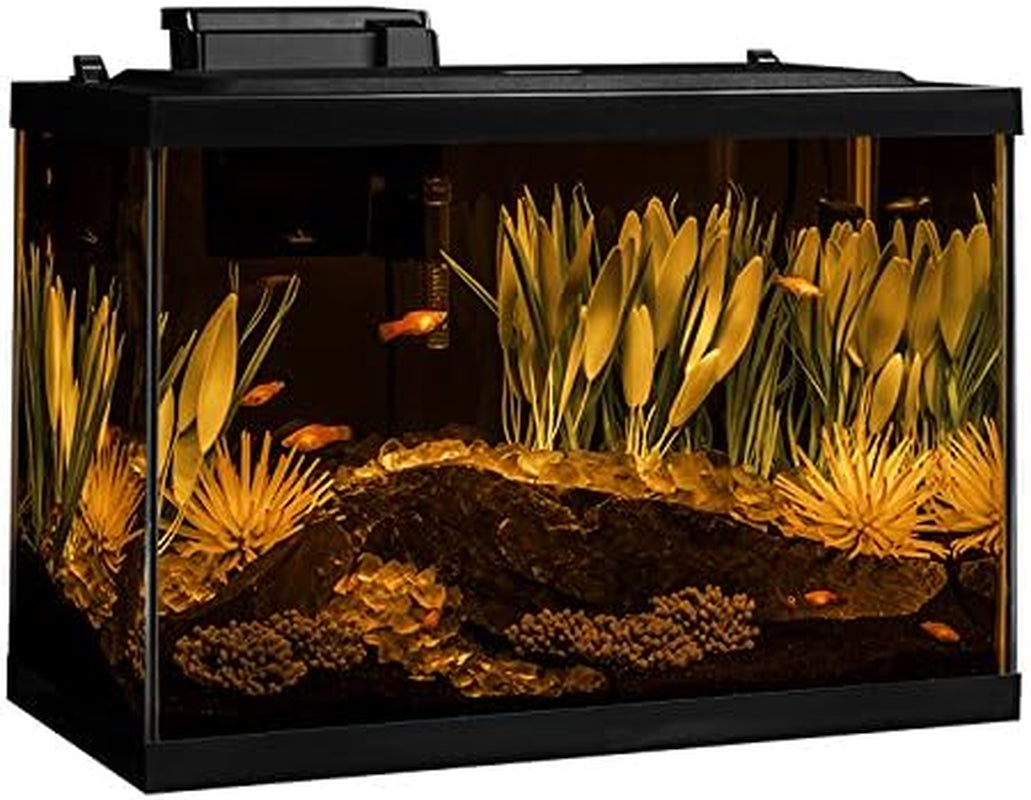 Tetra ColorFusion Aquarium