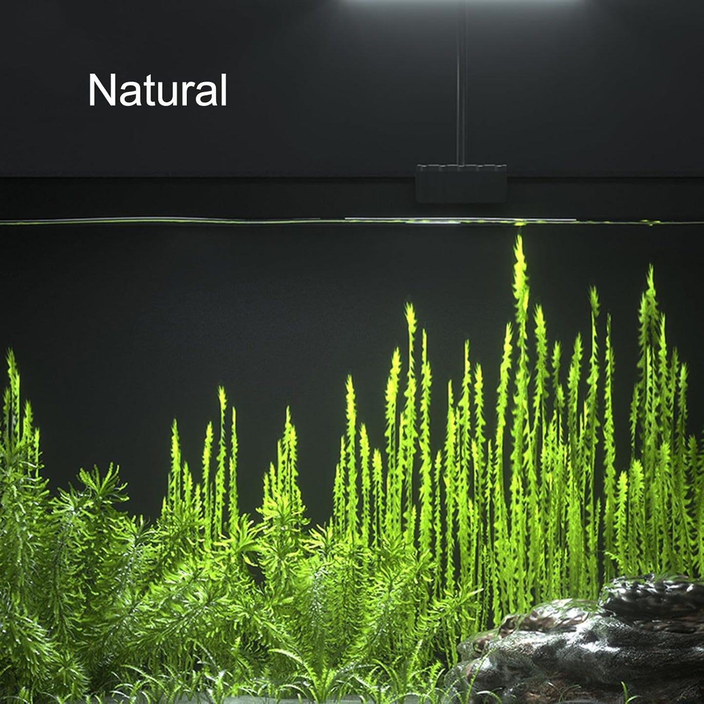 Fish Aquarium LED Light