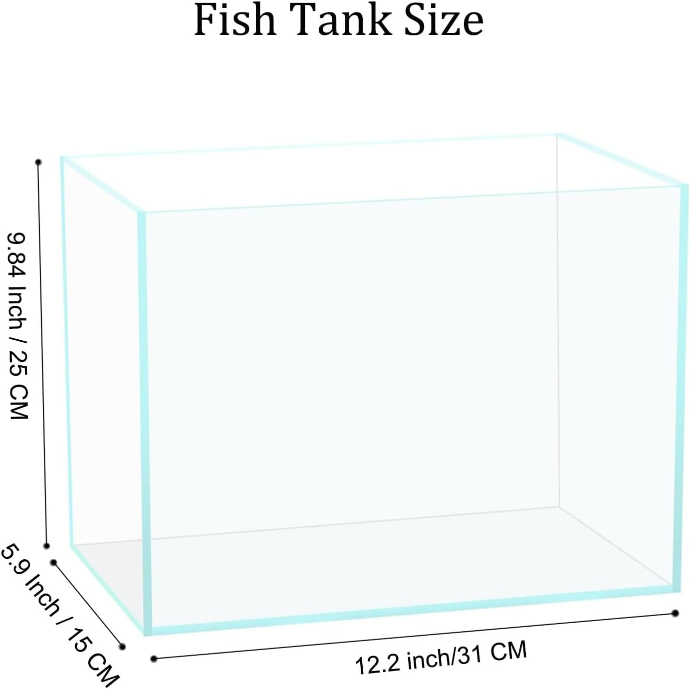 3 Gallon Glass Fish Tank