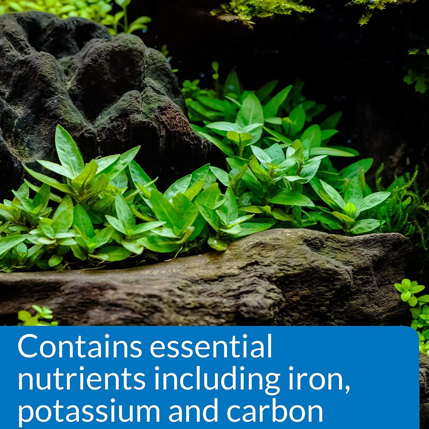 Freshwater Aquarium Plant Fertilizer