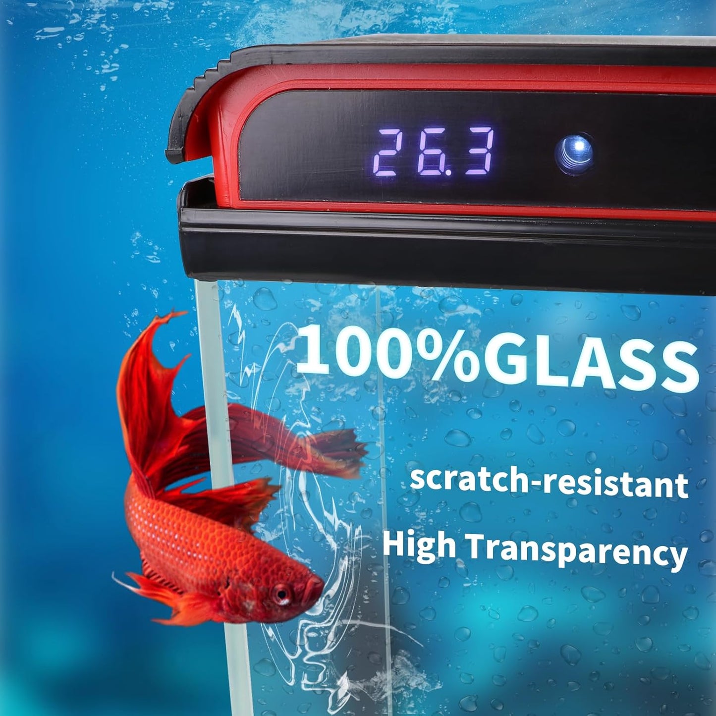 Small Fish Tank