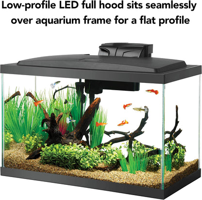Aquarium Fish Tank Starter Kit
