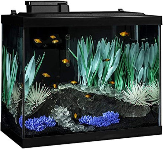 Tetra ColorFusion Aquarium