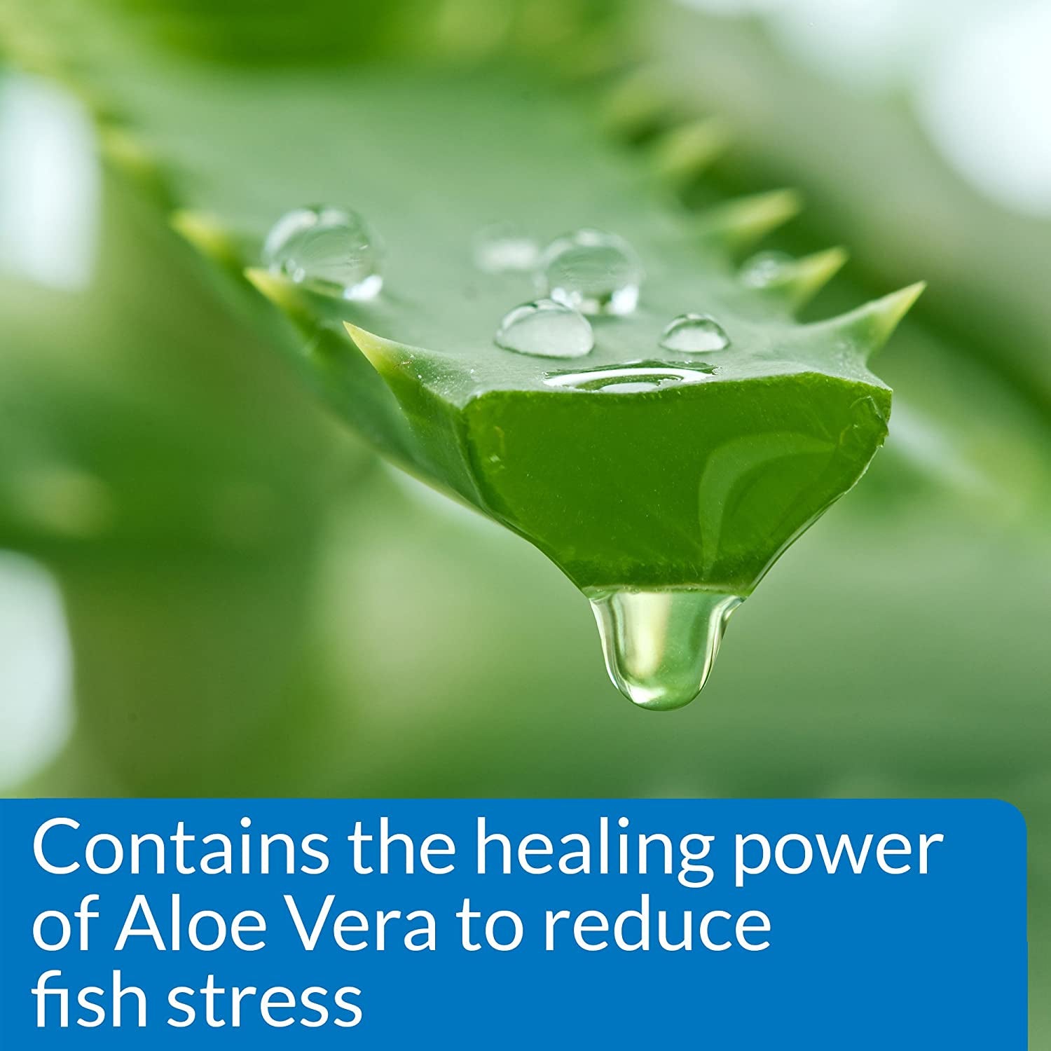 Aquarium Water Conditioner