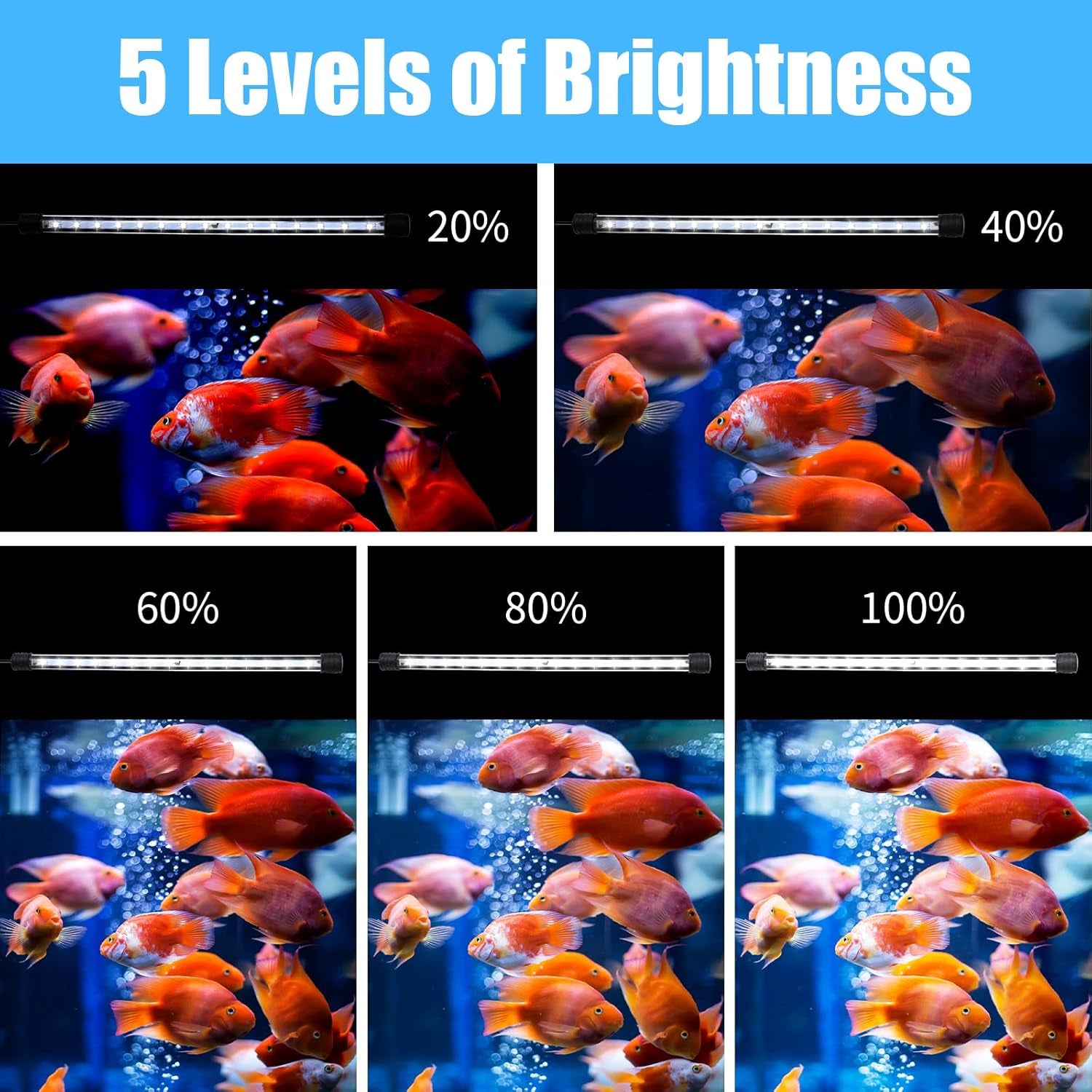 Aquarium LED Submersible Light
