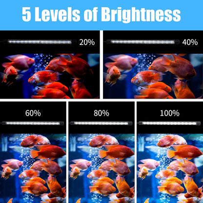 Aquarium LED Submersible Light