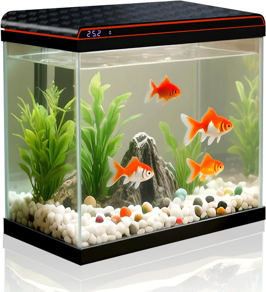 Small Fish Tank