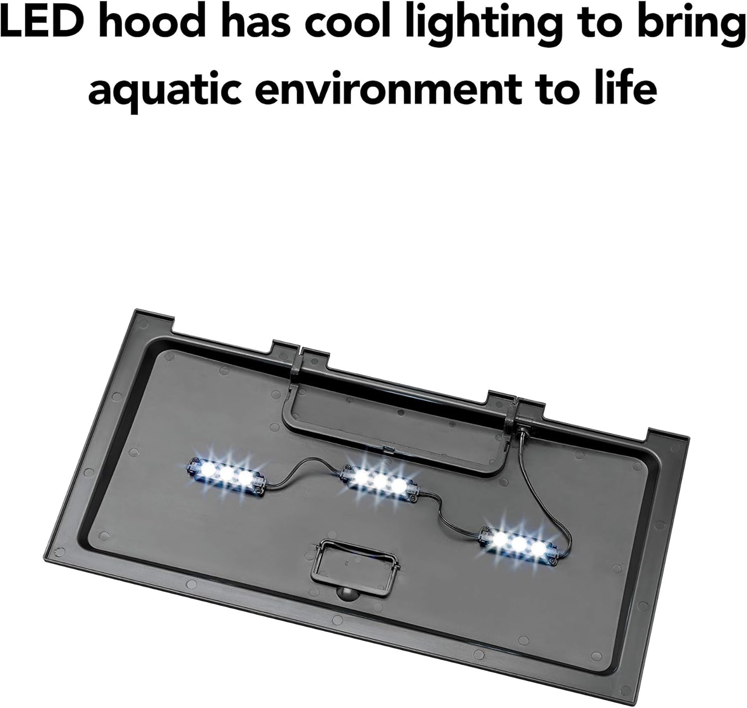 Aquarium Fish Tank Starter Kit